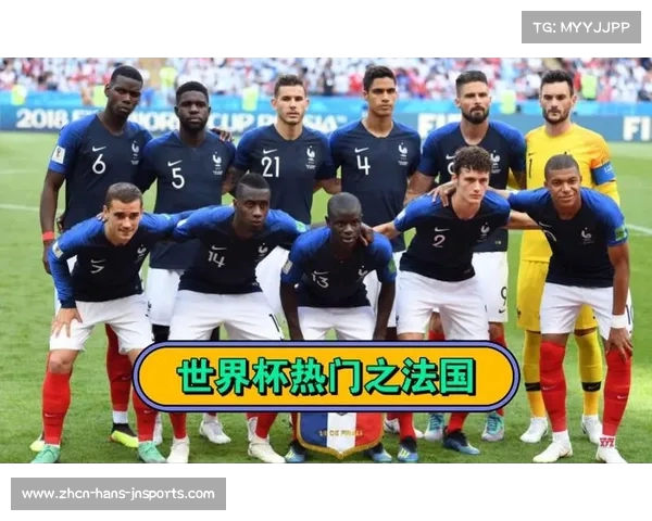 2010年世界杯法国队表现分析及历程回顾详解